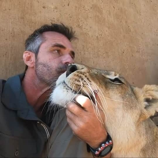 Kevin Richardson LionWhisperer のインスタグラム