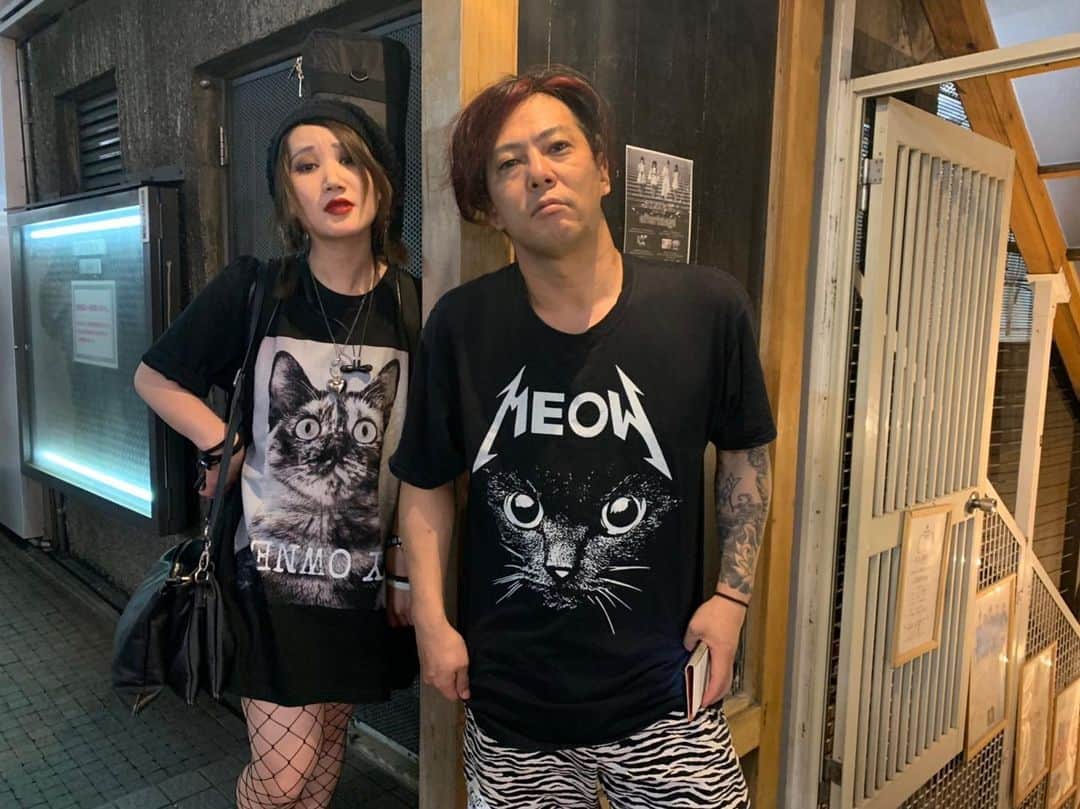 REIJIさんのインスタグラム写真 - (REIJIInstagram)「猫兄妹  #ねこ #猫 #猫tシャツ #meow #myowner #ココリコ田中 #まりもっこり #FAKEISLAND #Mothinlilac」6月29日 1時47分 - reiji_kimura