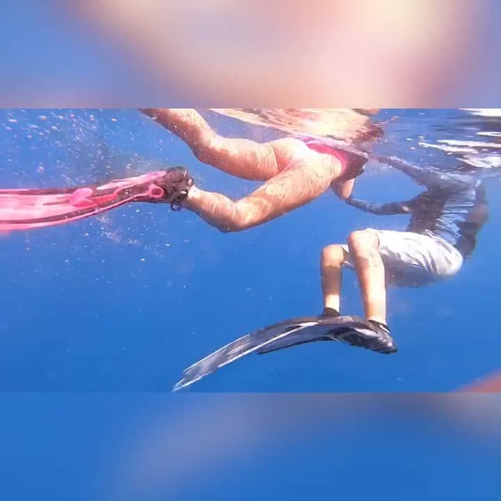ナタン・アケのインスタグラム：「When a Whale Shark get’s too close!😂😱 #getmeoutofhere #wherearemyfins」