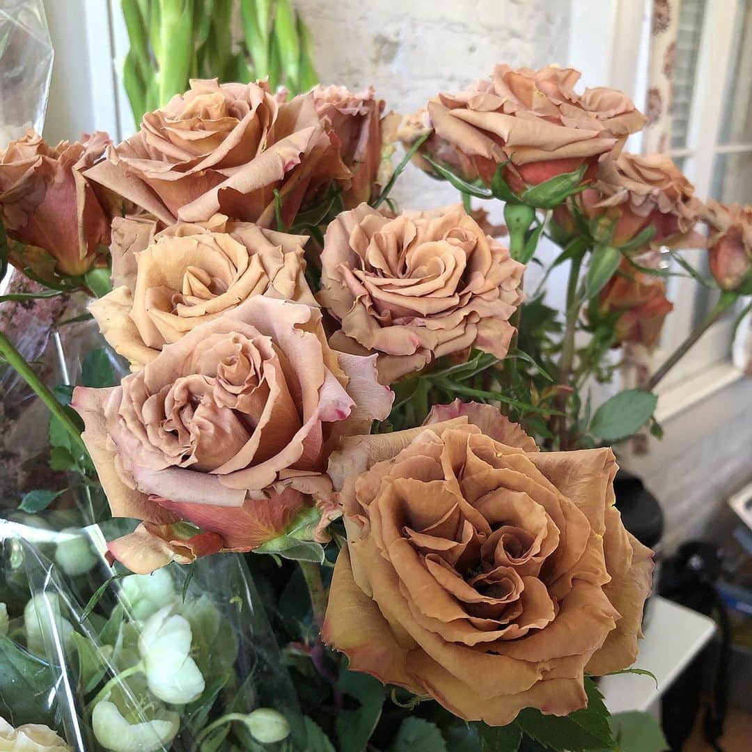 ジョアン・スモールズさんのインスタグラム写真 - (ジョアン・スモールズInstagram)「These are the most unique gorgeous roses I’ve seen ❤️ La Madre Naturaleza siempre me impresiona」6月29日 2時27分 - joansmalls