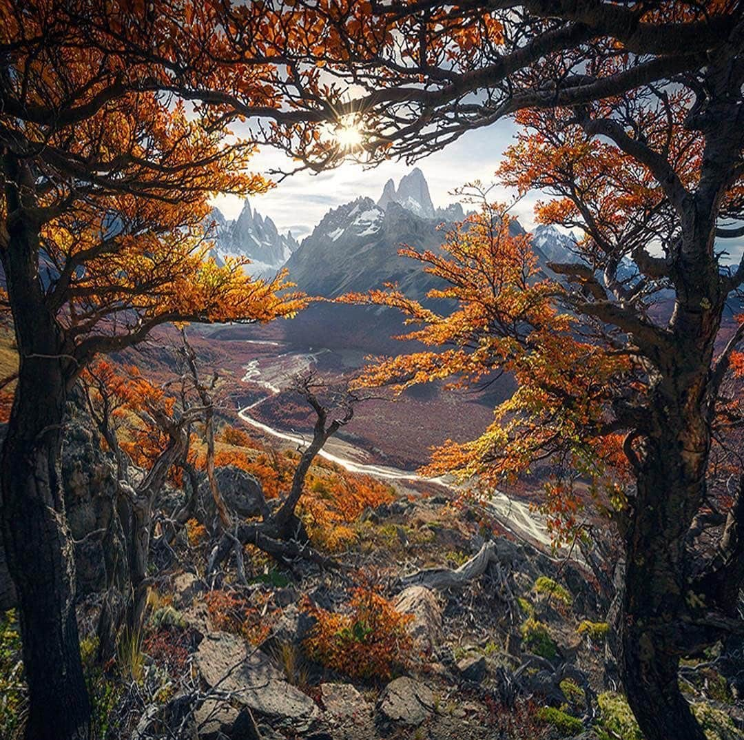 Earth Picsさんのインスタグラム写真 - (Earth PicsInstagram)「Fall peak in Patagonia ⛰ Photo by @marcograssiphotography」6月29日 2時36分 - earthpix