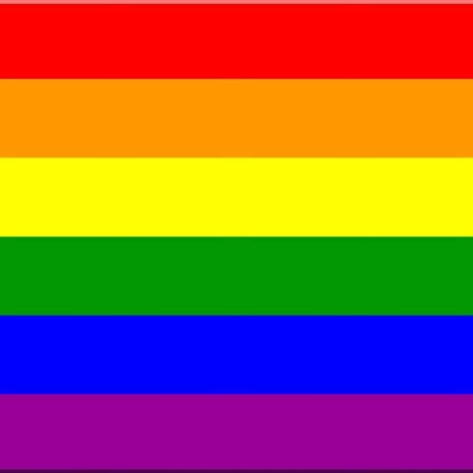 ゾージア・マメットさんのインスタグラム写真 - (ゾージア・マメットInstagram)「#pride #stonewall #stonewall50 #loveislove 🌈」6月29日 2時59分 - zosiamamet