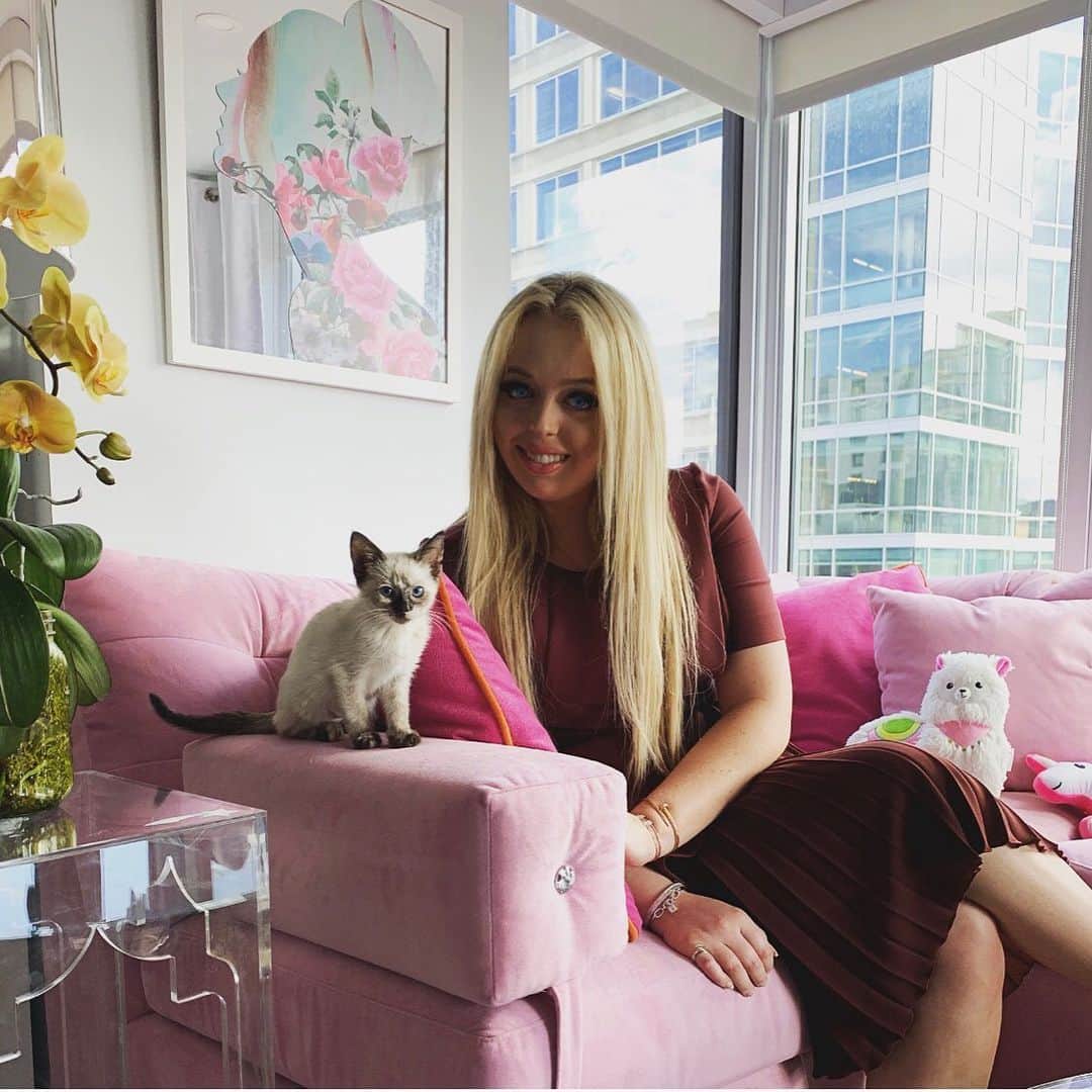 ティファニー・トランプのインスタグラム：「Petals🐱🌸 #petals🐱🌸 #kitten」