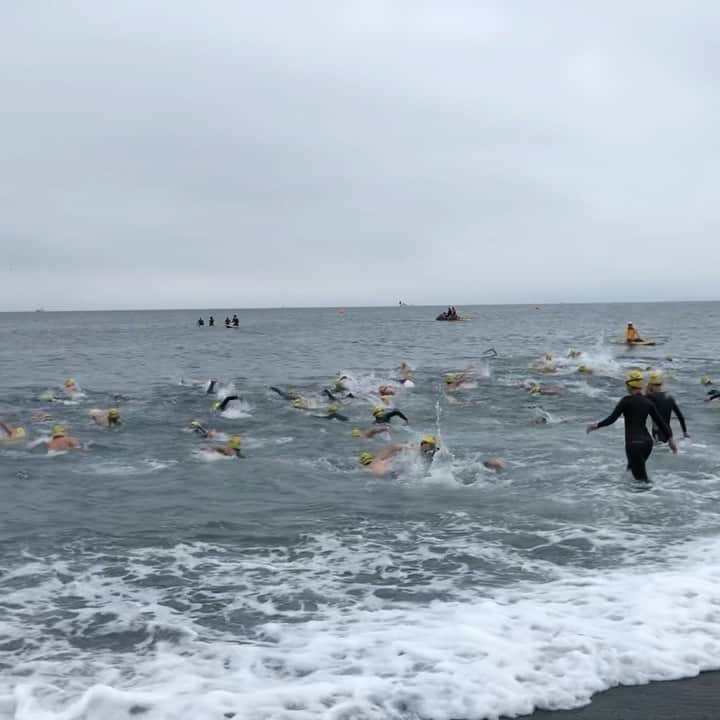 竹谷賢二のグルメインスタ