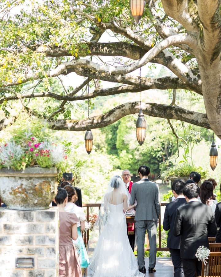 ザ・ヒルトップテラス奈良のグルメインスタ