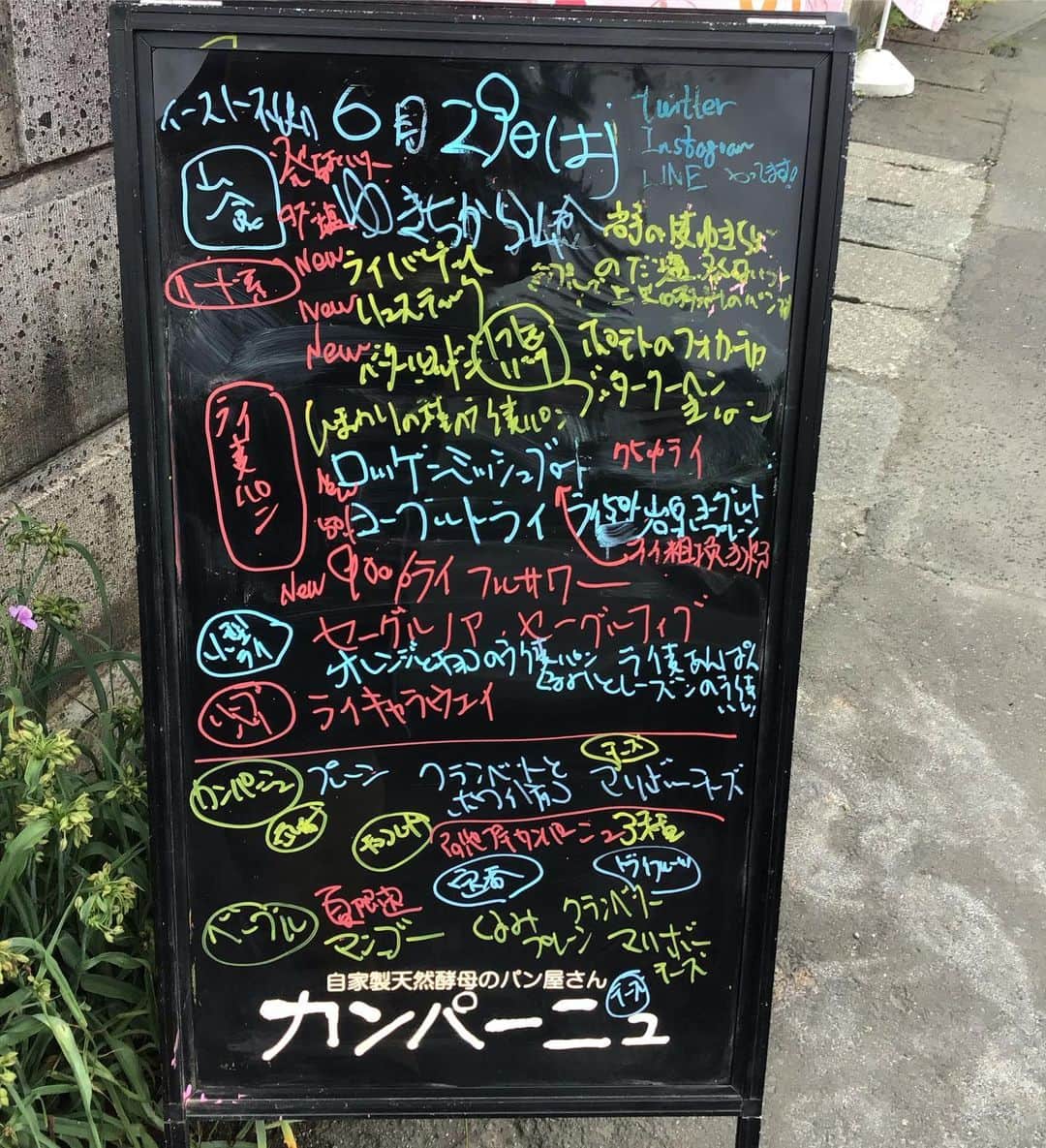 魔女菅原さんのインスタグラム写真 - (魔女菅原Instagram)「おはようございます✨  あいにくの曇り空ですが、多彩なメニューでお待ちしております😆  #自家製天然酵母のパン屋さんカンパーニュ  #魔女菅原  #ハード系パン  #ライ麦パン #ベーグル #バゲット」6月29日 13時02分 - hatsuyosugawara