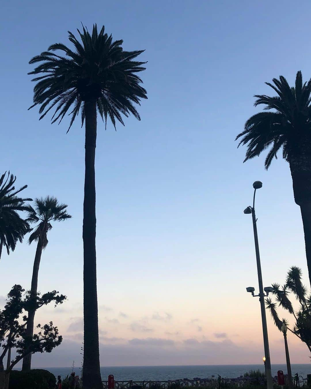 一木美里さんのインスタグラム写真 - (一木美里Instagram)「I'm already in LosAngeles🌴🐶 my fav beautiful colors of sky📸💜 少し前にLAに来ました✈️NYも、まだ載せたいことがいっぱい。しばらく行ったり来たり投稿になるかもしれません🐩着いてすぐゲームで当てたシベリアンハスキーのぬいぐるみがかわいい🖤  #MillyLosAngeles  #LosAngeles#travel#travelgram  #instatravel#beach#santamonica  #ロサンゼルス #tabijo#selfie#サンタモニカ」6月29日 12時57分 - misato_ichiki