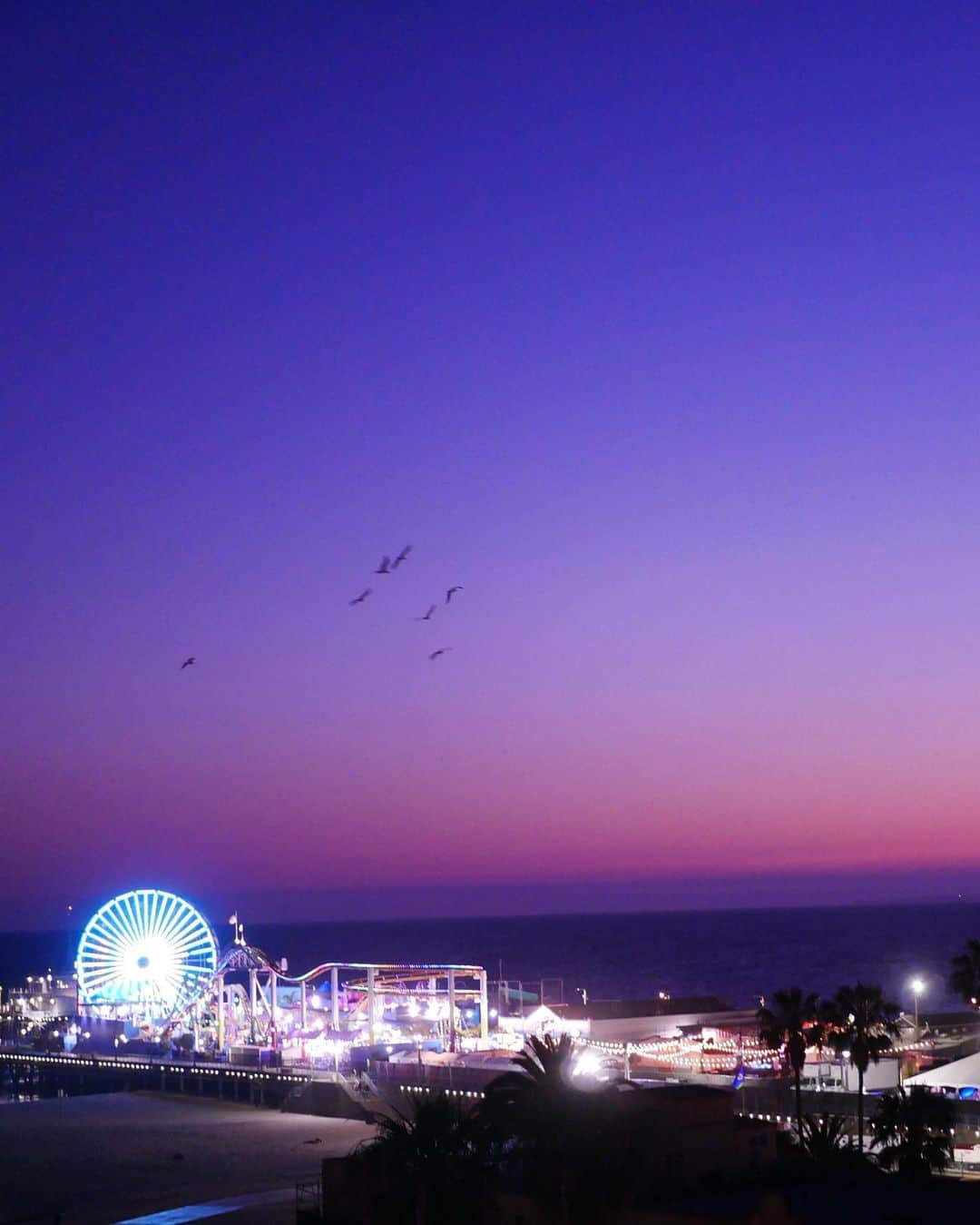 一木美里さんのインスタグラム写真 - (一木美里Instagram)「I'm already in LosAngeles🌴🐶 my fav beautiful colors of sky📸💜 少し前にLAに来ました✈️NYも、まだ載せたいことがいっぱい。しばらく行ったり来たり投稿になるかもしれません🐩着いてすぐゲームで当てたシベリアンハスキーのぬいぐるみがかわいい🖤  #MillyLosAngeles  #LosAngeles#travel#travelgram  #instatravel#beach#santamonica  #ロサンゼルス #tabijo#selfie#サンタモニカ」6月29日 12時57分 - misato_ichiki