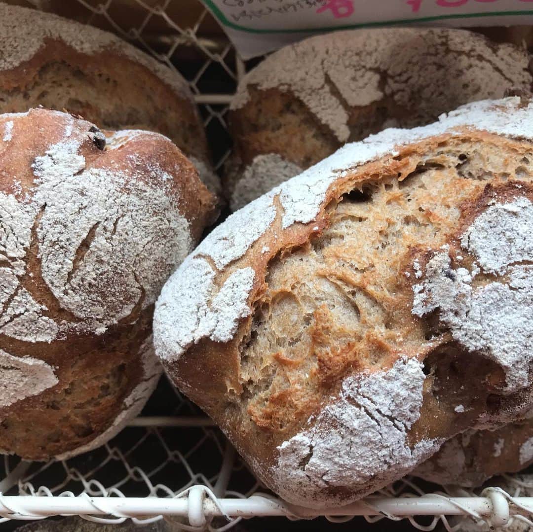 魔女菅原のグルメインスタ