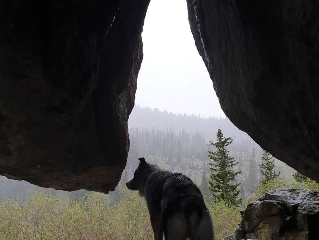 アレックス・パッチシオさんのインスタグラム写真 - (アレックス・パッチシオInstagram)「Yeah for Friday! 😄 Being in the mountains is definitely where I feel my happiest! I even love hiking up on my rest days to just enjoy the day! 🏔❤️🙌 #rain #lovelife #outside #trail #hike #uhamikakuto」6月29日 13時13分 - alex_puccio89