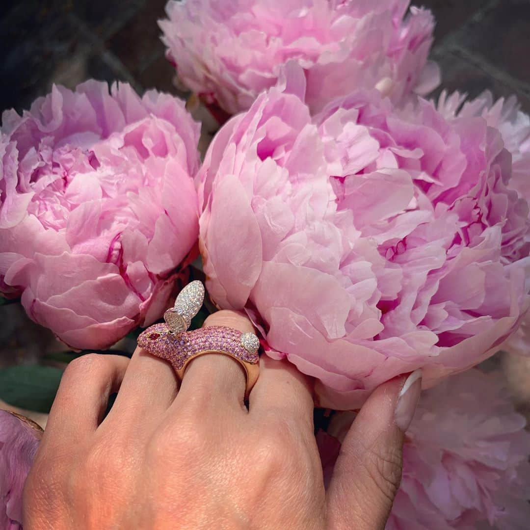mioさんのインスタグラム写真 - (mioInstagram)「あっというまに花咲きました #芍薬 #peony #pink #🐇」6月29日 13時13分 - mio_harutaka