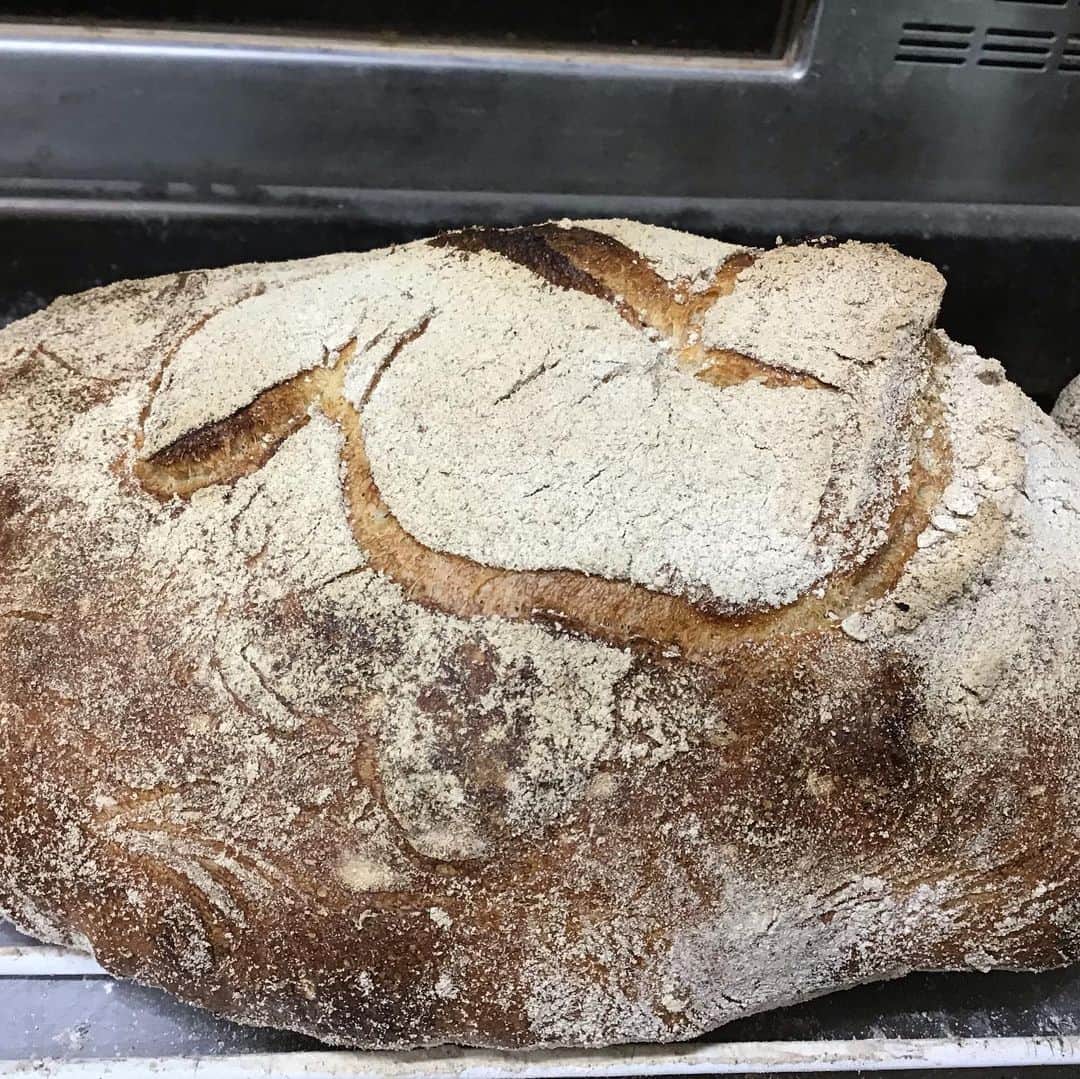 魔女菅原のグルメインスタ