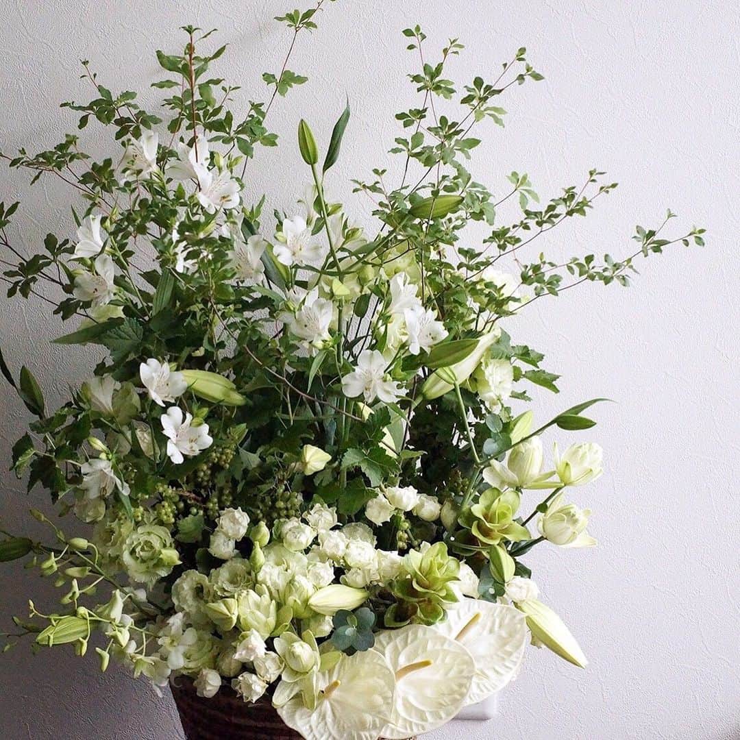 MILLE ECLAT.のグルメインスタ