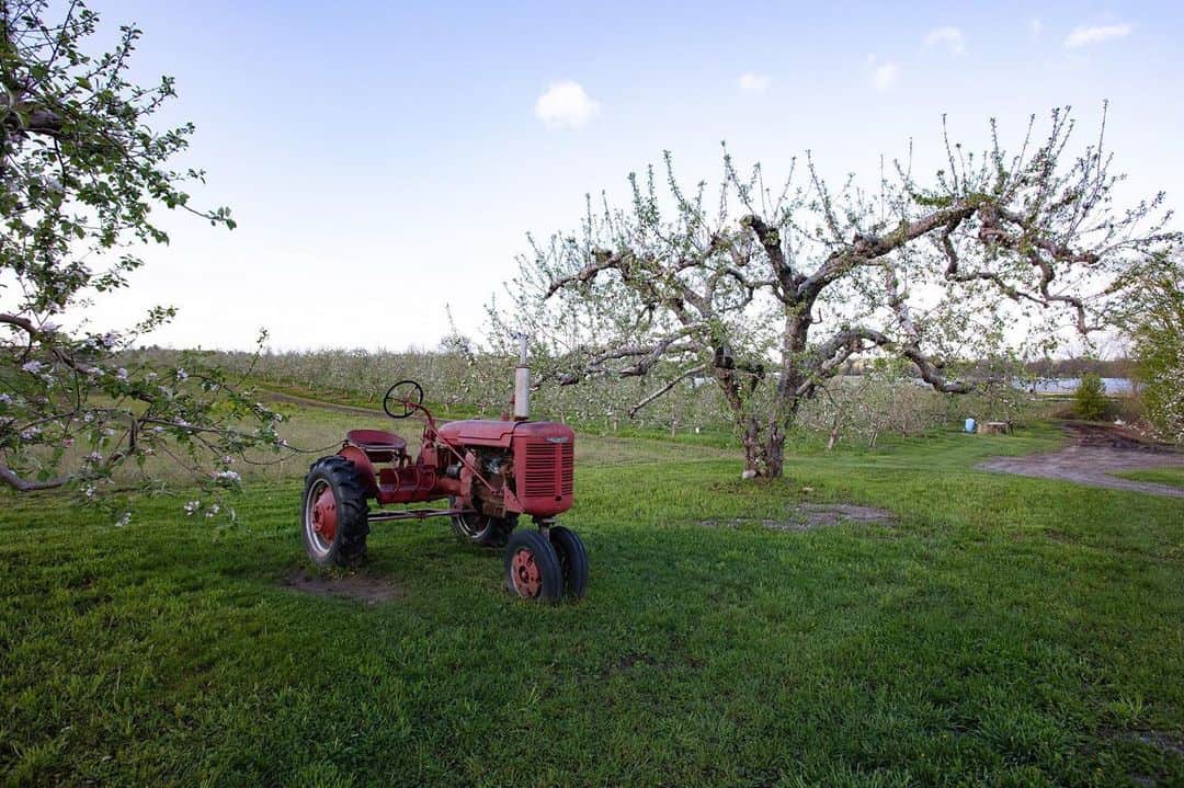 National Geographic Travelさんのインスタグラム写真 - (National Geographic TravelInstagram)「Photo by @jodymacdonaldphoto // Sponsored by @visitnh // There is nothing quite like visiting one of New Hampshire’s southern orchards in the summertime. Walk the nature trails, pick seasonal produce, interact with farm animals, and indulge in homemade ice cream and berry pies. These quaint farms are a perfect way to spend a summer day while having an authentic New Hampshire experience. // Whether your idea of fun is camping, hiking, or visiting wineries, summer is a time for the “Live Free” state to really shine. See more of what you can explore in New Hampshire at @visitnh.」6月29日 7時02分 - natgeotravel