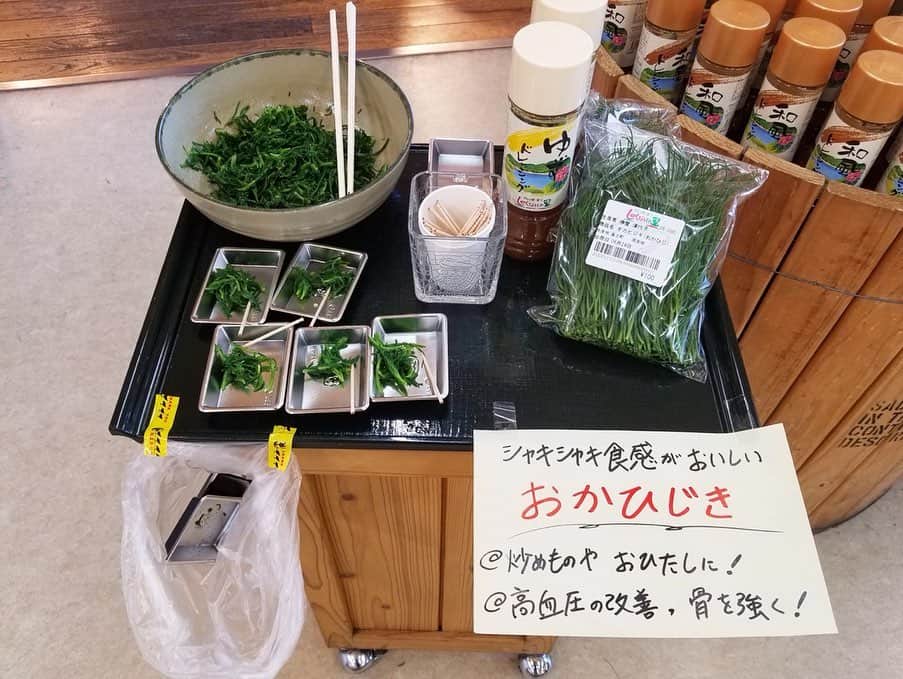 さが農村さんのインスタグラム写真 - (さが農村Instagram)「. 佐賀市富士町にある、ダムの駅富士しゃくなげの里に行ってきました！ . お店の方におすすめの商品を聞いてみると、 「おかひじき」という野菜を教えていただきました。 この日の朝、試食とともに出していたそうですが、 あっという間に売り切れに(>_<) このシャキシャキの食感の「おかひじき」、骨を強くする成分を多く含んでいるそうです！ お店で見かけたときはぜひ購入してみてくださいね！ . しゃくなげの里から5km程行くと、神水川（しおいがわ）パークゴルフ場があります。 ここでは7月13日（土）『第1回しゃくなげの里杯パークゴルフ大会』が開催されます。 . 初心者大歓迎で高校生以上なら誰でも参加できるそうです！お申込みは7月8日（月）まで。 . お問い合わせは、神水川パークゴルフ場 （TEL:0952-51-7005）までお願いします。 ご興味のある方はぜひ参加してみてくださいね！ . . ＜ダムの駅富士しゃくなげの里＞ 住所：佐賀市富士町畑瀬1-31 TEL: 0952-58-3200 . . ■さが農村ひろばホームページ（TOPページ） https://saga-nouson.jp/ . #さが農村#佐賀産#佐賀#さが#サガ#saga#道の駅しろいし#白石町#佐賀ランチ#」6月29日 8時30分 - saganouson