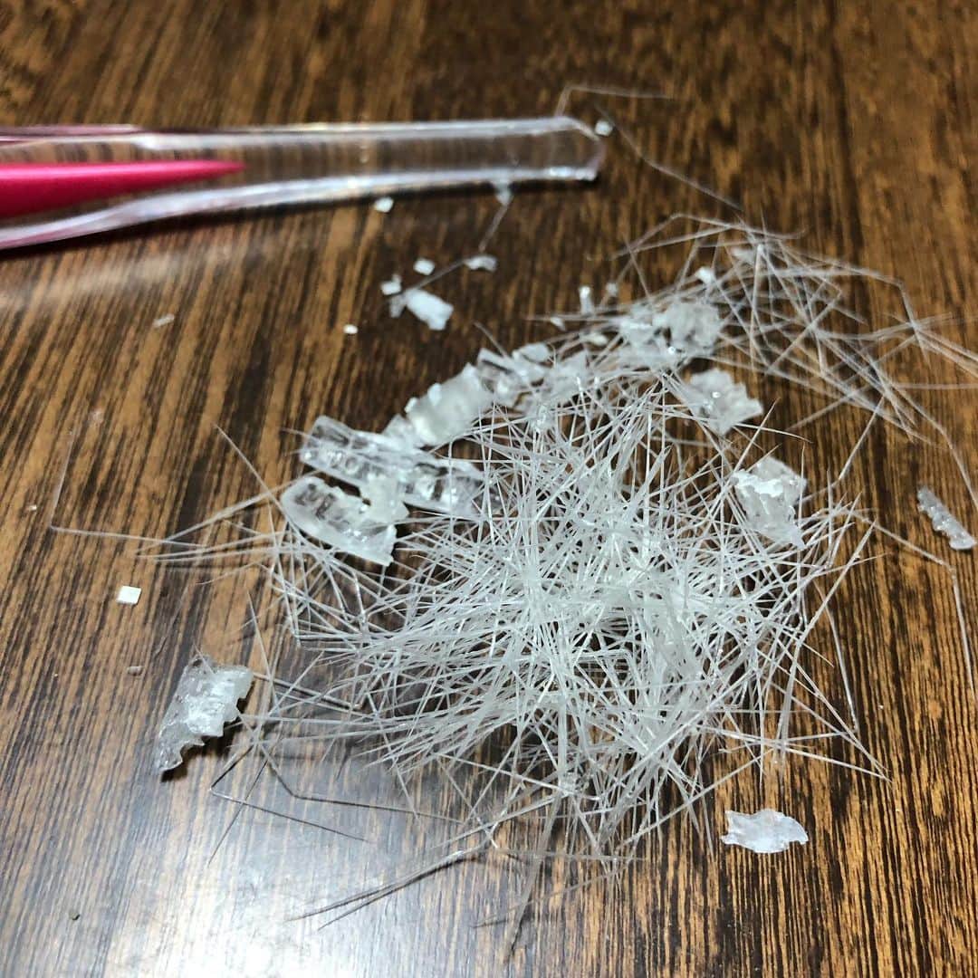 久保ミツロウのインスタグラム：「My toothbrush was destroyed🤷🏻‍♀️」