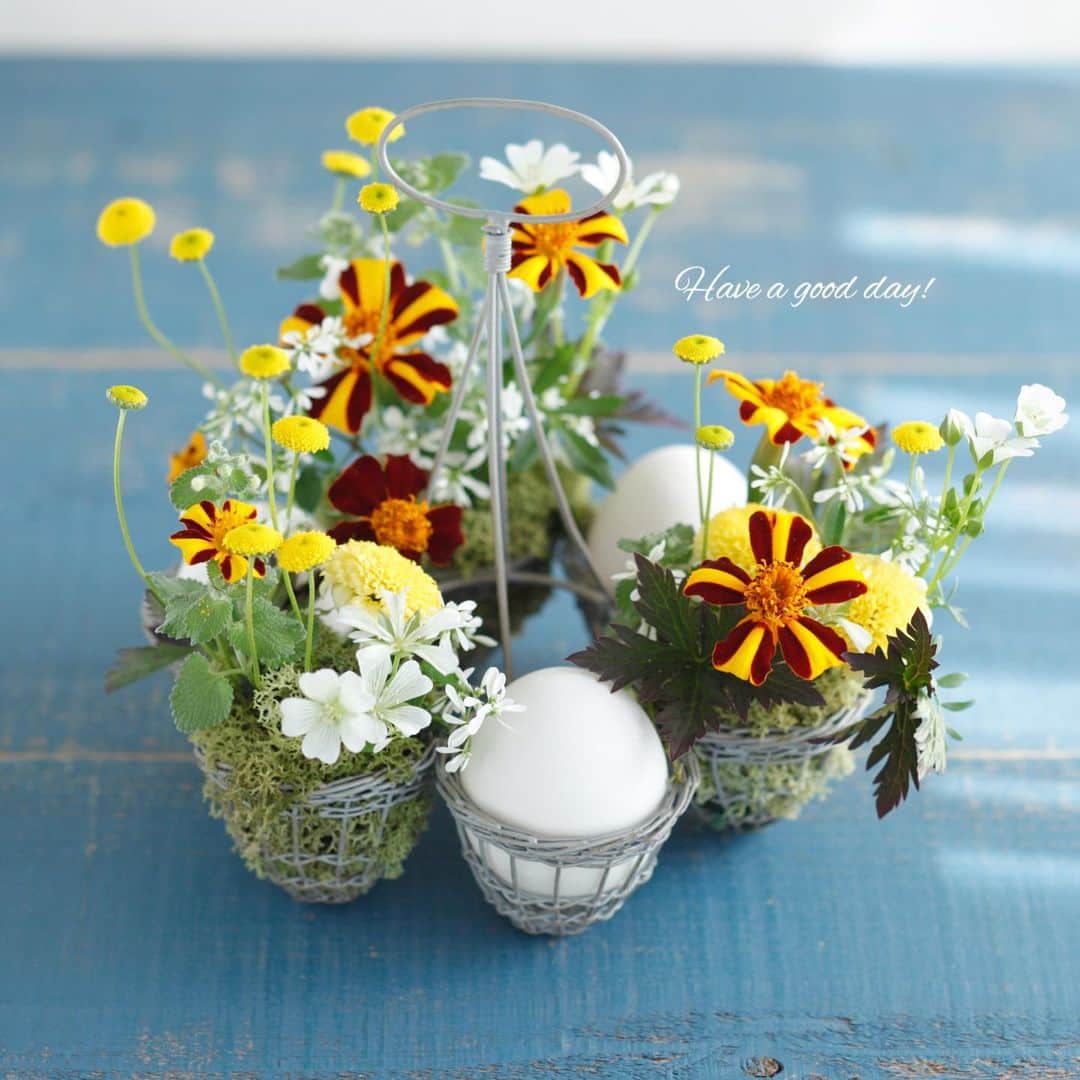 雑誌『花時間』さんのインスタグラム写真 - (雑誌『花時間』Instagram)「おはようございます。お日さまが恋しい週末は、元気色のお花で遊んでみませんか〜？ 例えば、ブランチにぴったりなエッグスタンドの花遊び。エッグケースでもオッケー🙆‍♀️です。黄色と白の卵🥚🍳カラーの草花を集めて、ちょこちょこアレンジ♬  花を挿した吸水性スポンジはモスでカバーしています。卵は底に穴を開けて、中身を取り出しておくと、長〜く楽しめますね。なお、張り切ってウコッケイの卵を使う必要はありません（笑）。特売品でもなんでもよいので、ふつーの卵でどうぞ。では、お休みの方もそうでない方もsmile😊😊😊な週末になりますよーに！by ピーターパン  花 @chigusa_agawa  写真 @落合里美  #hana #flower #flowers #flowerslovers #flowerstagram #flowerarrangement #花時間 #花時間2019  #花好き #花藝 #花好きな人と繋がりたい #花が好きな人と繋がりたい #花のある生活 #花のある暮らし #マリーゴールド #ハナホタル #リムナンテス  #エッグスタンド #marigold  #テーブルの花 #ブランチに #草花が好き  #小さな花が好き #小さなアレンジ #元気が出る花 #夏の花 #花遊び #botanicallife  #花屋さんへ行こう」6月29日 9時23分 - hanajikan_magazine
