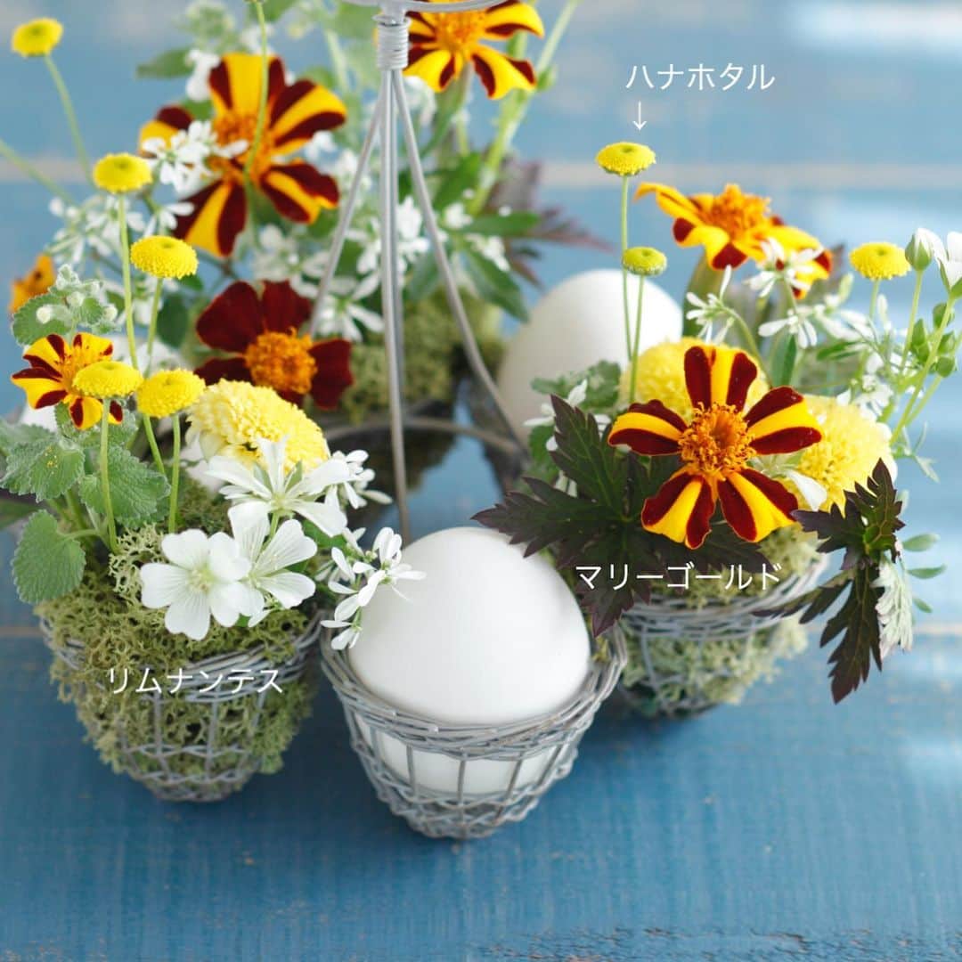雑誌『花時間』さんのインスタグラム写真 - (雑誌『花時間』Instagram)「おはようございます。お日さまが恋しい週末は、元気色のお花で遊んでみませんか〜？ 例えば、ブランチにぴったりなエッグスタンドの花遊び。エッグケースでもオッケー🙆‍♀️です。黄色と白の卵🥚🍳カラーの草花を集めて、ちょこちょこアレンジ♬  花を挿した吸水性スポンジはモスでカバーしています。卵は底に穴を開けて、中身を取り出しておくと、長〜く楽しめますね。なお、張り切ってウコッケイの卵を使う必要はありません（笑）。特売品でもなんでもよいので、ふつーの卵でどうぞ。では、お休みの方もそうでない方もsmile😊😊😊な週末になりますよーに！by ピーターパン  花 @chigusa_agawa  写真 @落合里美  #hana #flower #flowers #flowerslovers #flowerstagram #flowerarrangement #花時間 #花時間2019  #花好き #花藝 #花好きな人と繋がりたい #花が好きな人と繋がりたい #花のある生活 #花のある暮らし #マリーゴールド #ハナホタル #リムナンテス  #エッグスタンド #marigold  #テーブルの花 #ブランチに #草花が好き  #小さな花が好き #小さなアレンジ #元気が出る花 #夏の花 #花遊び #botanicallife  #花屋さんへ行こう」6月29日 9時23分 - hanajikan_magazine
