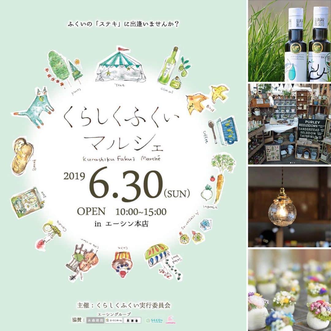 のインスタグラム：「【明日開催】﻿ くらしくふくい初のリアルイベント「くらしくふくいマルシェ」。﻿ くらしくふくいでお馴染みのお店や、マルシェ初出店のお店等、お弁当やパン、雑貨などを販売いたします。﻿﻿ ﻿﻿ 日時：6月30日（sun）10：00～15：00﻿﻿ 場所：株式会社エーシン本店（福井市北四ツ居1-31-1）﻿﻿ ﻿﻿ 本日も、当日ご出店頂く17のお店をご紹介させていただきます♪﻿ ﻿ 〜﻿ ﻿ 【deww（デュウー）】さん(写真2枚目)﻿ 福井市日之出のオリーブオイル専門店。本物の良質なオリーブオイルをお届けし健康づくりのお手伝い。今回は八百屋テクテクさんとコラボ出店です。オリーブオイルソムリエが本物のオリーブオイルを教えてくれます。﻿ ﻿ 〜﻿ ﻿ 【*Grow】さん(写真3枚目)﻿ 多肉植物とサボテンの販売＆寄せ植え教室の無店舗型Shop。可愛い多肉ちゃんたちに魅了されること間違いなし。﻿ ﻿ 〜﻿ ﻿ 【BENTO】さん(写真4枚目)﻿ 福井市照手の閑静な住宅街の古民家で、民藝の器や生活道具、食品なども扱う暮らしのセレクトショップ。素敵なモノをセレクトしてくれます。﻿ ﻿ 〜﻿ ﻿ 【CoquetCoquette（コケコケット）】さん(写真5枚目)﻿ アクセサリー・ポーセラーツ・ キャンドル・ガーランドなど、女の子の大好きや可愛いがギュッと詰まった宝箱のようなイベントなどを主催・企画し、ワークショップもいつも人気のユニット。イベントには欠かせない魅力的な彼女たちが、今回も素敵なモノやコトを教えてくれます。﻿ ﻿ …﻿﻿ ﻿ その他のお店の情報や開催場所など、イベント詳細に関しましては、プロフィール（ @kurashiku_fukui ）にあるイベント特設ページ﻿URLよりご確認下さい。﻿ ﻿ お問い合わせ：0776-52-0004﻿﻿ くらしくふくい実行委員会﻿﻿ …﻿﻿ ﻿﻿ くらしくふくいマルシェの今後の情報は、「くらしくふくい」で読むことができます♪プロフィール（ @kurashiku_fukui ）内のリンクをクリックしてご確認ください♪﻿﻿ ﻿﻿ *****************************************************﻿﻿ 「ママとして、妻として、女性として」﻿﻿ ﻿﻿ 福井県は全国的に見ても共働き率の高い「働きもの」の土地柄。そんなくらしの中で、1人で何役もこなす福井の女性たちに「もっと楽しく」「もっと私らしく」福井のくらしを楽しんで欲しい。﻿﻿ ﻿﻿ 「くらしくふくい」は、そんな女性を応援するために、福井で生まれた地元の情報サイトです。﻿﻿ ﻿﻿ もしよろしければ、いいね！・フォローよろしくおねがいします♪﻿﻿ *****************************************************」