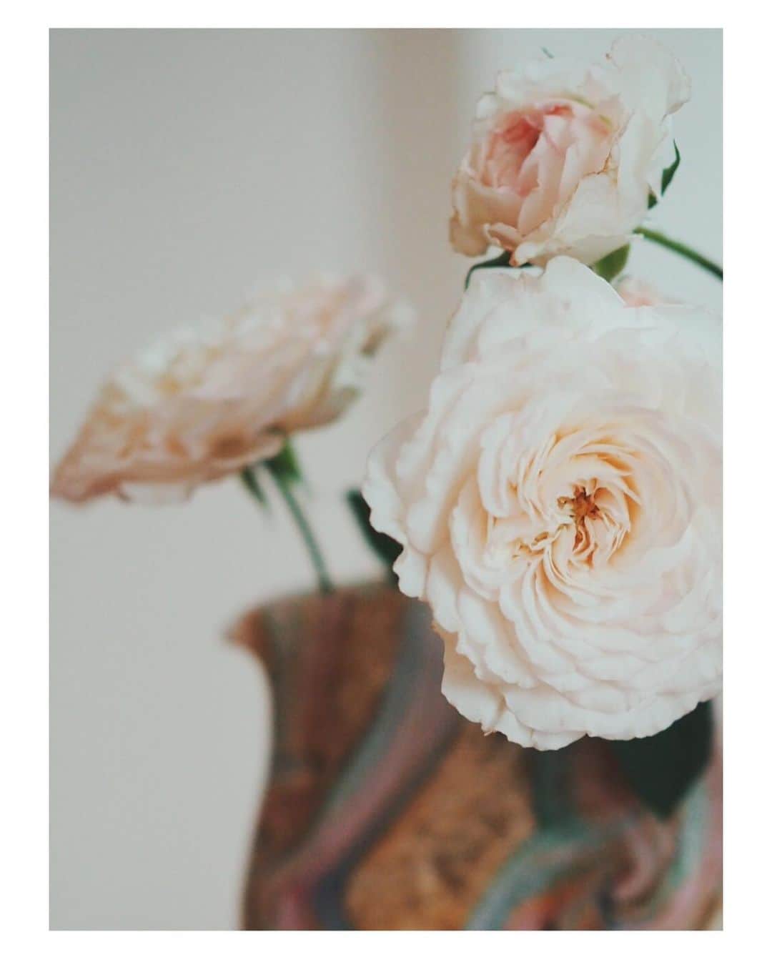 花楓さんのインスタグラム写真 - (花楓Instagram)「買った花瓶に合わせてお花を 選んでもらいました♥️ せっちゃんの花の世界観が 好き過ぎるのであります。  @lil_seico  #花のある生活 #花瓶コレクション #vintageflowervase」6月29日 9時39分 - _caede_