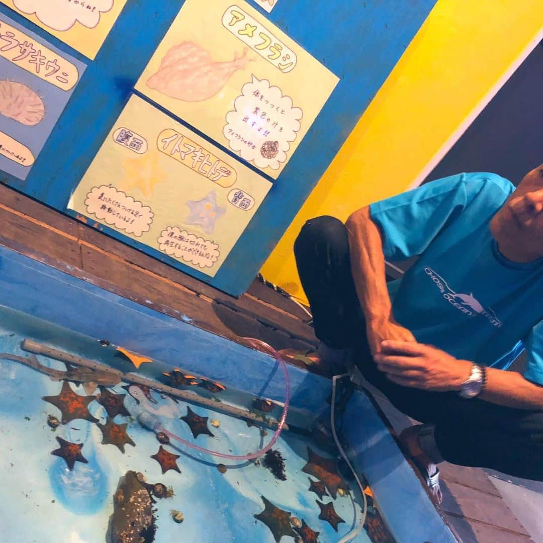 谷口礼子さんのインスタグラム写真 - (谷口礼子Instagram)「‪銚子海洋研究所の中にある、「世界一ちっちゃな水族館」に行ってきました！‬ ‪かわいいこどものサメを触りました！‬ ‪所長の宮内さんが全部詳しく説明してくれて、そこらの水族館にいくより、ものしりになれます！‬ ‪銚子に来たらオススメ！‬ ‪#銚子‬ #銚子海洋研究所 #世界一ちっちゃな水族館 #水族館 ‪https://www.msn.com/ja-jp/news/national/‬」6月29日 9時53分 - manekijako
