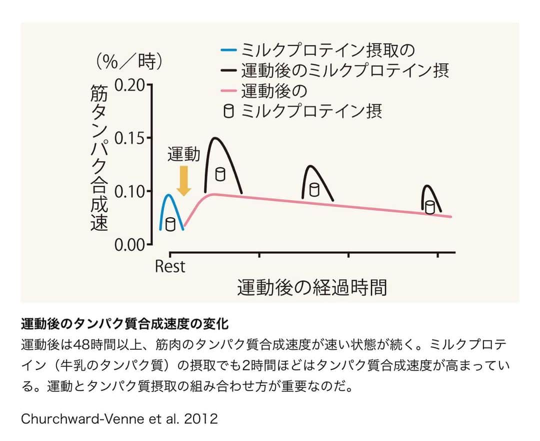 kogao283さんのインスタグラム写真 - (kogao283Instagram)「肉体パフォーマンスを高めるには、運動後に 「糖質3：タンパク質1」のバランスで栄養を摂るのがベスト。  でも、人のカラダは千差万別。年齢や性別、筋肉のつき具合などで、体重も変わってきますよね？ ・  1日に必要な【タンパク質・糖質】量（g）＝ 自分の体重（kg）×体重1kgあたりの【タンパク質・糖質】必要量（g）  計算式はカンタンですが、気をつけてほしいことがひとつあります。 ・  それは「体重1kgあたりの栄養必要量」は、直前の運動量で大きく変わってくる、という点です。 ・ タンパク質・糖質それぞれの目安は以下のとおりです。 ・  ご覧のとおり、あまり運動をしない人🛏と、 トレーニング習慣🏇がある人では、 必要な栄養量に2倍以上も開きがあります。 ・  1日に必要なタンパク質量🍳＝ 体重60kg×体重1kgあたりに必要なタンパク質量1.2～1.4g＝72～84g ・  1日に必要な糖質量🥄＝ 体重60kg×体重1kgあたりに必要な糖質量5～7g＝300～420g」6月29日 10時23分 - kogao283
