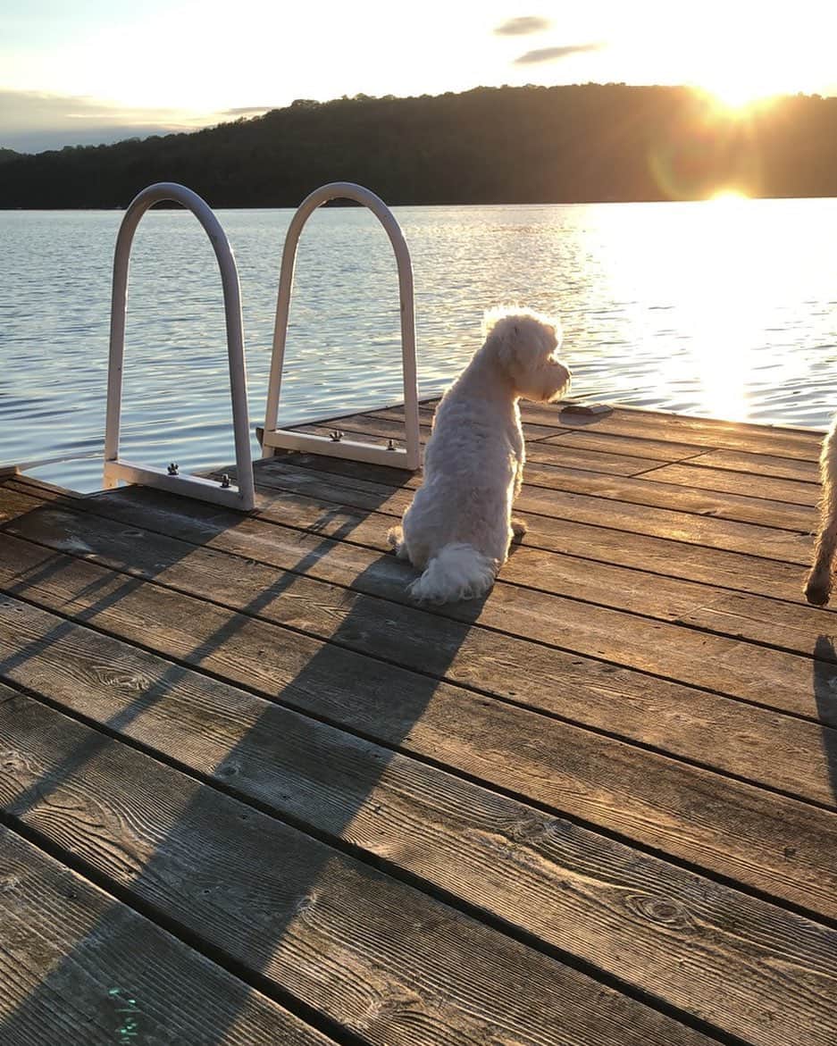 アレクサンドラ・ポールのインスタグラム：「Let the long weekend begin ✌️」