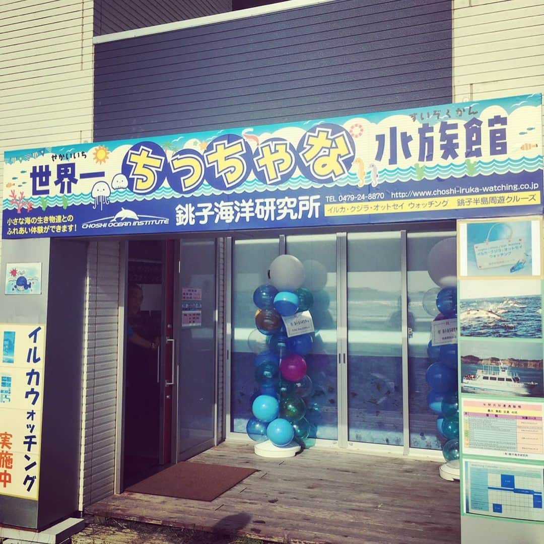 相馬絵美さんのインスタグラム写真 - (相馬絵美Instagram)「#銚子海洋研究所 にある#世界一ちっちゃな水族館 にお邪魔してきました。 所長に色々教えてもらって海の生き物に少しだけ詳しくなったかも🐬🐋🐳🐠 今なら#ドチザメ の赤ちゃんをナデナデできる貴重な体験ができますよ。」6月29日 12時03分 - somaemi