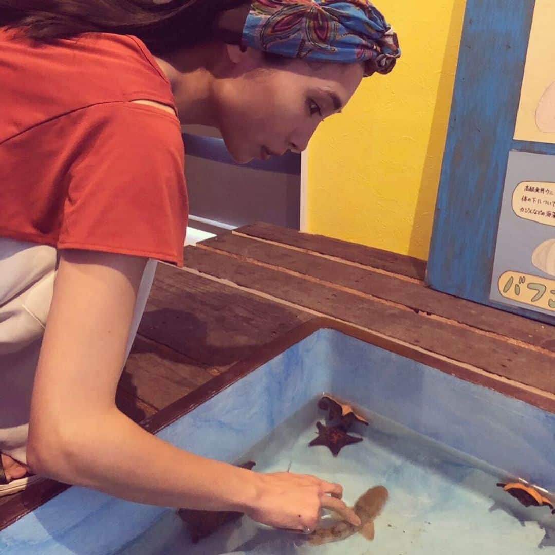 相馬絵美さんのインスタグラム写真 - (相馬絵美Instagram)「#銚子海洋研究所 にある#世界一ちっちゃな水族館 にお邪魔してきました。 所長に色々教えてもらって海の生き物に少しだけ詳しくなったかも🐬🐋🐳🐠 今なら#ドチザメ の赤ちゃんをナデナデできる貴重な体験ができますよ。」6月29日 12時03分 - somaemi