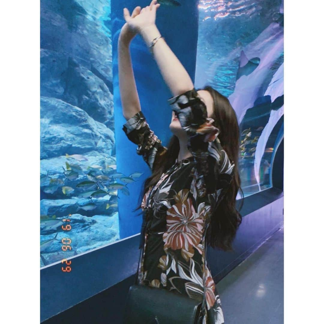 齊藤英里さんのインスタグラム写真 - (齊藤英里Instagram)「水族館ー！！！🐠」6月29日 23時11分 - erisaito.official