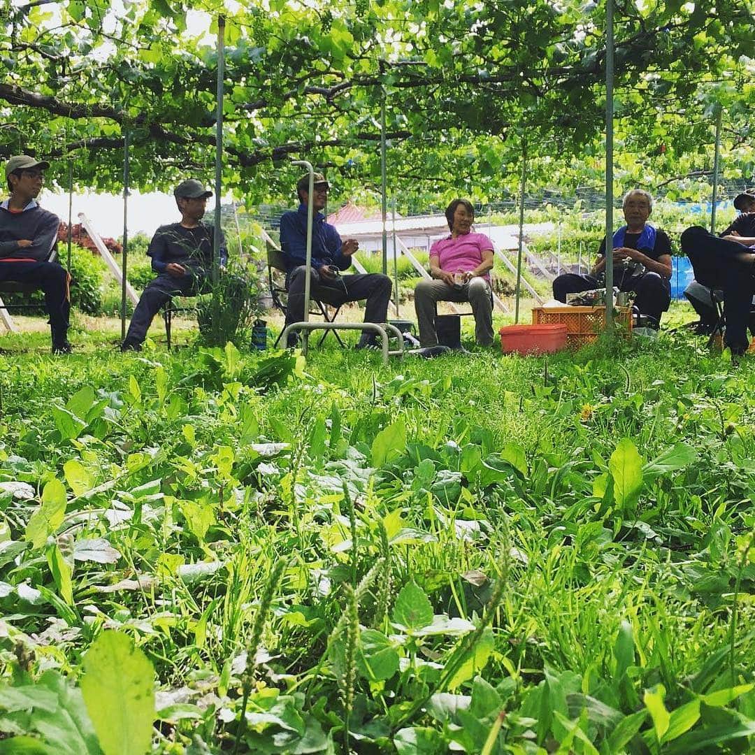 ほうとう 富士の茶屋のグルメインスタ