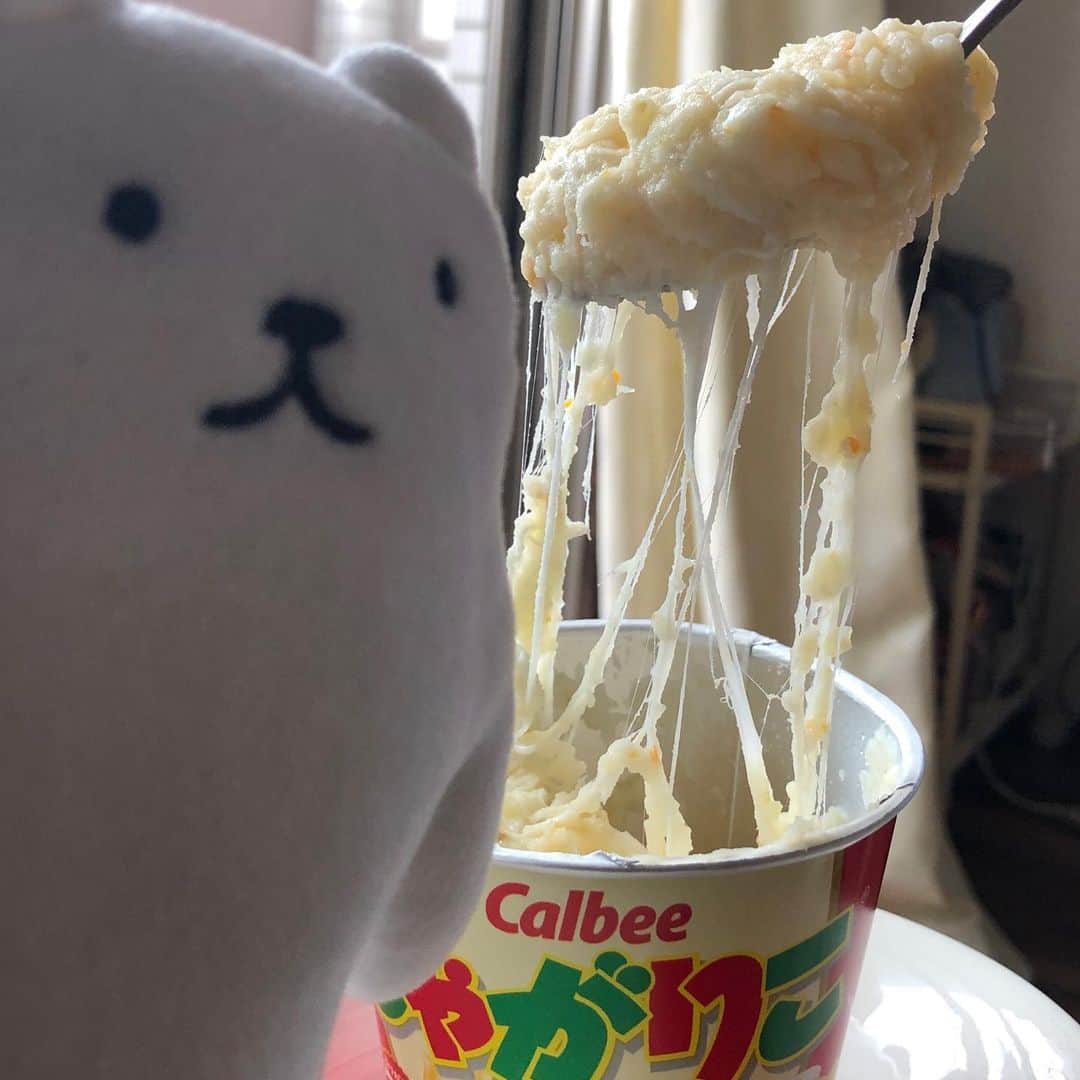 フィルたんのインスタグラム