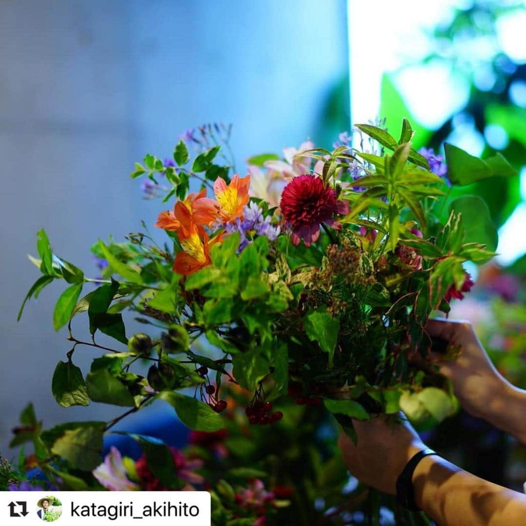 前田有紀さんのインスタグラム写真 - (前田有紀Instagram)「市場で「この花可愛いなぁー！」と手にとってみたら、片桐さんの手がけたお花だったこと、本当にたくさんあります。 長野でアルストロメリアをはじめ、魅力溢れる草花を作っている片桐さんのお話を聞きながら花を束ねられることの幸せ。ワークショップは来週土曜日15時〜、鎌倉の朝食屋コバカバさんにて開催です。 すでにたくさんお申し込みいただいてますが、まだお席に余裕がございます。はじめての方でも、鎌倉さんぽの帰り道にも、お子様連れでも気軽にご参加いただけたらと思います。 皆様にお会いできるのを楽しみにしています！ . #Repost @katagiri_akihito with @make_repost ・・・ ワークショップのお知らせ  少し前には軽く告知しましたが、7月6日にgui @gui.flower の前田有紀さん @yukimaeda0117 さんと鎌倉でワークショップを行います。 「長野の草花を束ねるワークショップ」 日時  7月6日（土曜）15時~16時 費用  5400円（税込）ドリンク付 場所  朝食屋COBAKABAさん  鎌倉市小町1-13-15  写真は去年の秋に代々木上原のエンボカさんでワークショップをおこなった時のものです。  今回も季節の草花や葉物、アルストロメリアも使ってguiさんらしい色使い（個人的なイメージ笑）のブーケを束ねるワークショップです。  6日は朝の8時からうちの花をメインにguiさんによる季節の草花の販売もありますので、ワークショップには参加できないって方も是非遊びにいらしてください。自分は途中から参加になります。  ワークショップの申し込みは @gui.flower さんのトップページguiさんのサイトからお願いします。  #ワークショップ #gui.flower #前田有紀 #片桐花卉園 #初夏の爽やかなブーケ #鎌倉 #草花 #アルストロメリア #エキナセア #カタギリーフ」6月29日 21時58分 - yukimaeda0117