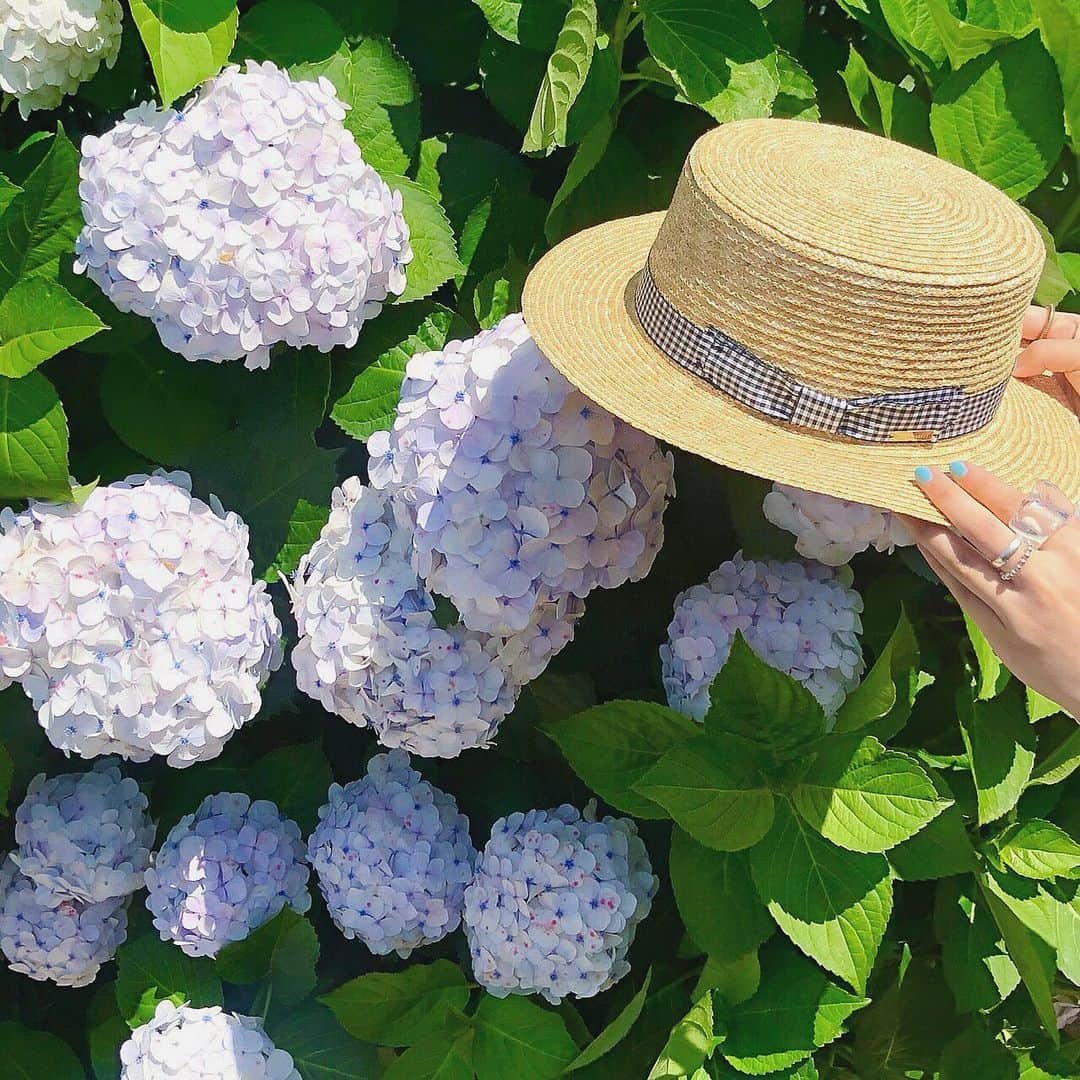 オーバーライドさんのインスタグラム写真 - (オーバーライドInstagram)「⚪︎ 梅雨時期のおすすめ🐌 ・ おでかけに連れて行きたいカンカン帽は 夏のマストアイテム。 さりげなくポイントになる ギンガムチェックおすすめです！ ・ ・ #カオリノモリ #kaorinomori #ソレイルハット  #カンカン帽 #かんかん帽 #麦わら帽子 #ハット #ギンガムチェック #梅雨 #あじさい」6月29日 22時01分 - kaorinomori_official