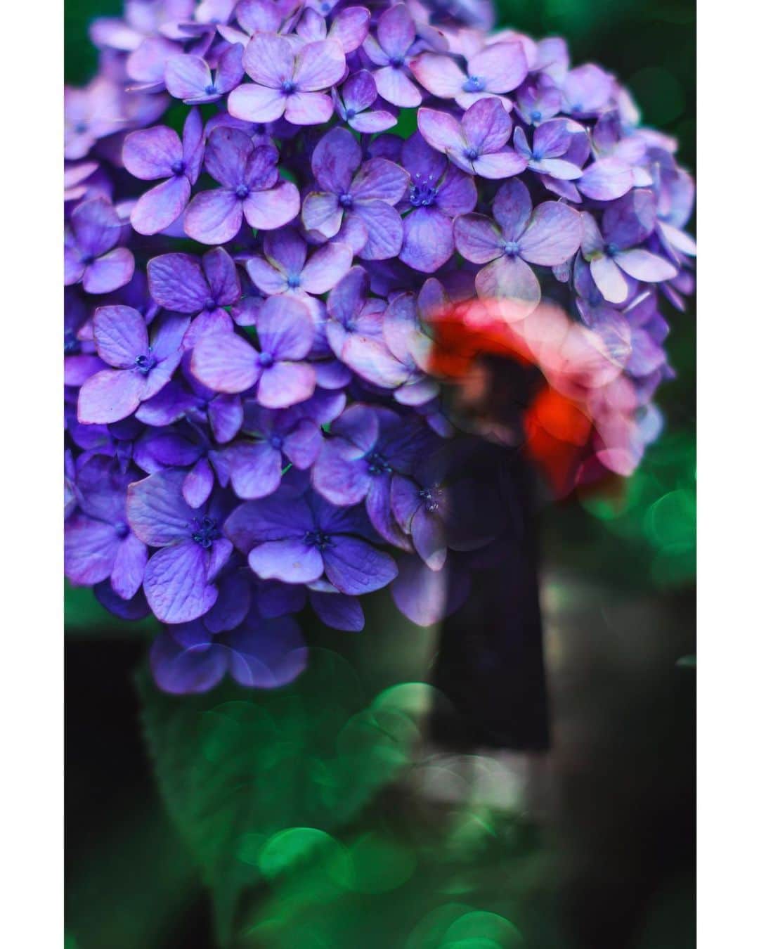 メグのん♡ A k i k oのインスタグラム：「☂️Purple Rain . . . . む ら さ き の あ め . . . . ☂️」