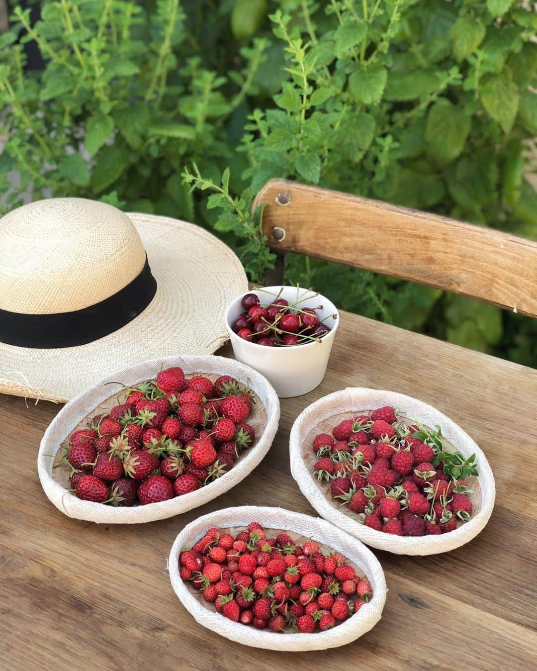 フィロとポンポンさんのインスタグラム写真 - (フィロとポンポンInstagram)「La belle récolte de ce matin...🍓🍒」6月29日 22時09分 - philo_pompon