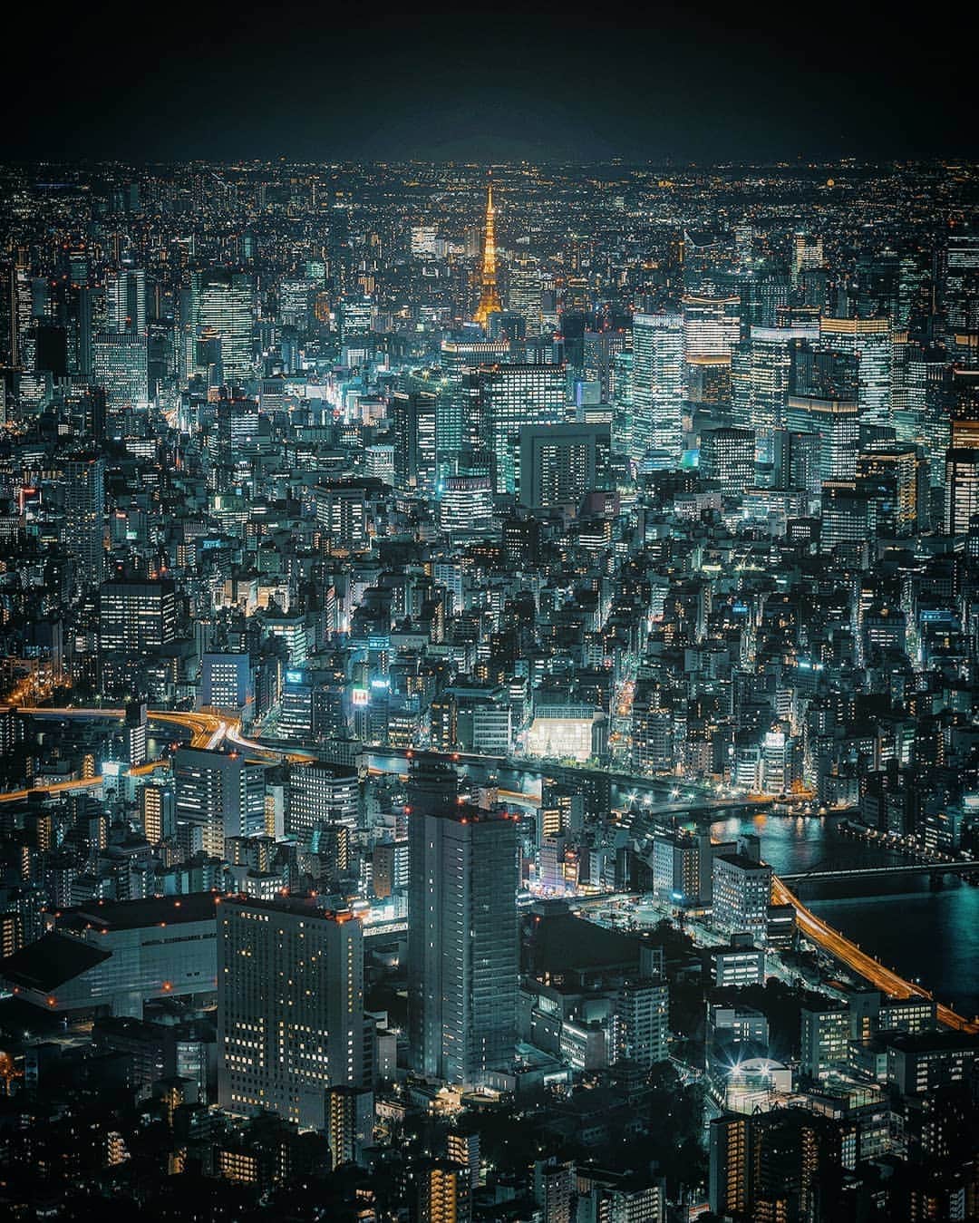 Berlin Tokyoさんのインスタグラム写真 - (Berlin TokyoInstagram)「A true beauty glows even brighter than the millions of others surrounding it. . . . #hellofrom #Tokyo #japan @instagram」6月29日 22時20分 - tokio_kid