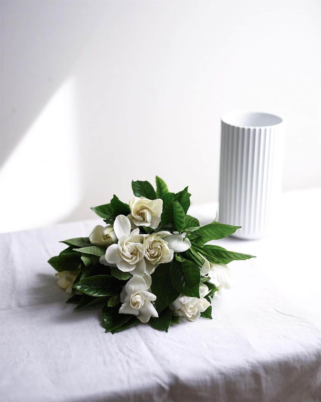 増田由希子さんのインスタグラム写真 - (増田由希子Instagram)「Fragile beauty.  #gardenia #summerflowers #beautiful #fragile #bouquet #lyngby 6月の花、クチナシ #クチナシ」6月29日 22時21分 - nonihana_