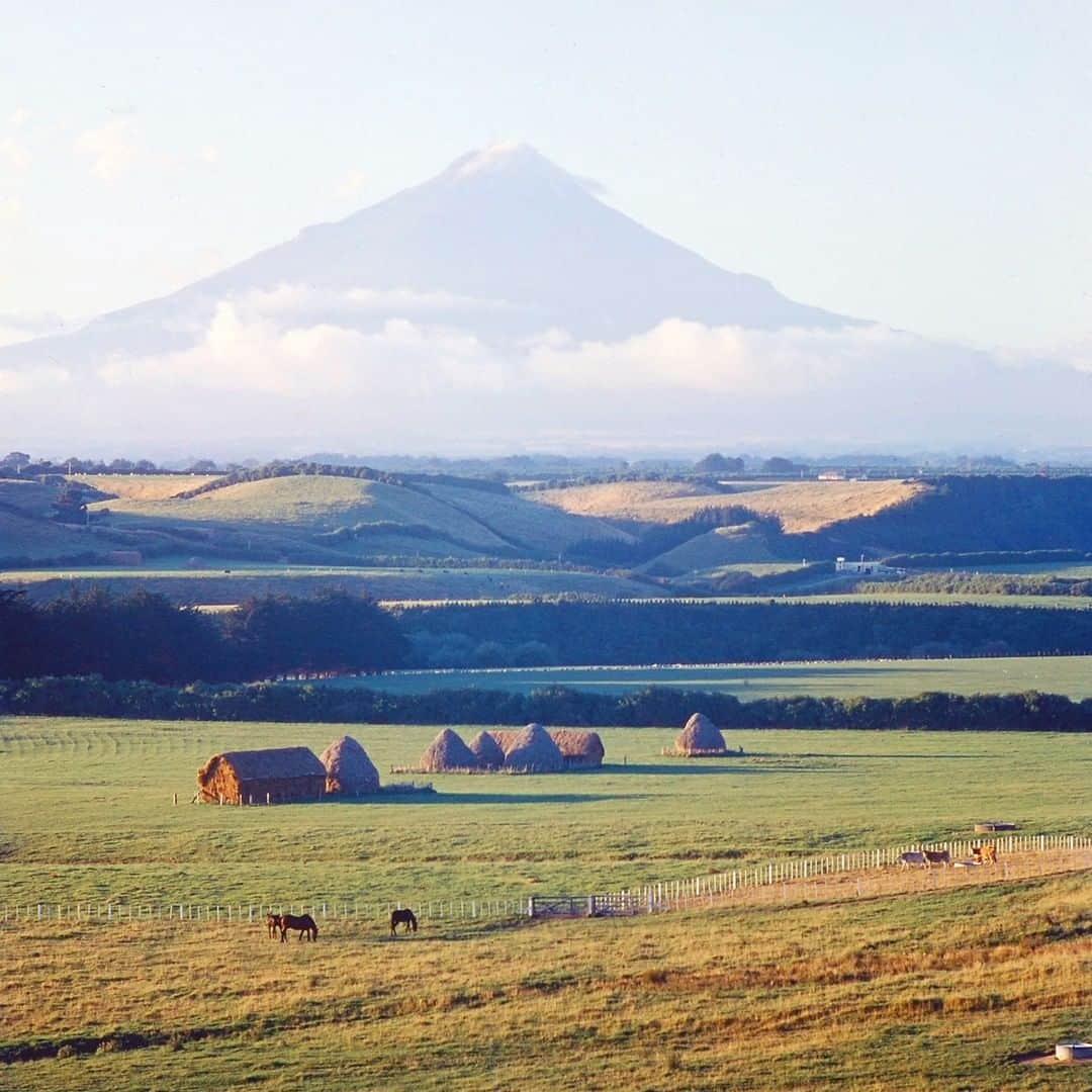 lifeさんのインスタグラム写真 - (lifeInstagram)「From the March 21, 1960 feature shot by LIFE photographer George Silk - "LOVELY LAND TOO FAR AWAY—A nostalgic photographer goes back to New Zealand to portray his spectacular and bountiful home country." According to LIFE, "It is the nostalgic conviction of Photographer George Silk that absolutely the only thing wrong with New Zealand is that it is almost always too far from where he is. Silk was born in New Zealand and would be there yet but for the war and his profession which brought him to the LIFE staff in 1943. Distance, however, has never diminished his affection for the island nation on the bottom of the world." The image featured here ran in the photo essay and shows Mount Egmont, also known as New Zealand's "Fujiyama." (George Silk—The LIFE Picture Collection/Getty Images) #NewZealand」6月29日 22時17分 - life