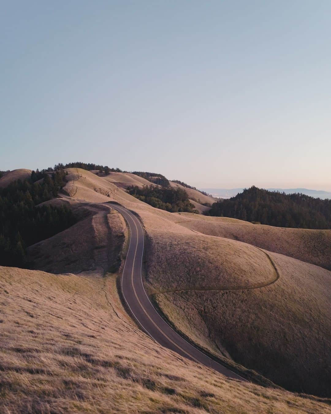 ライカさんのインスタグラム写真 - (ライカInstagram)「LA-based photographer Pete Halvorsen (@petehalvorsen) captured this fine example of leading lines with the Leica Q among the rolling hills of Mt. Tamalpais State Park in Marin County, Calafornia. Discover the versatility of the Leica Q for yourself via the bio link.  #LeicaCamera #Leica #🔴📷 #Leicagram #LeicaQ #TheLeicaLook #Leica_World #LeicaWorld #Leica_Club #LeicaSociety #Leicaphoto #lowlight #landscape_lovers #landscape_captures #earthpix #wildernessculture」6月29日 23時00分 - leica_camera
