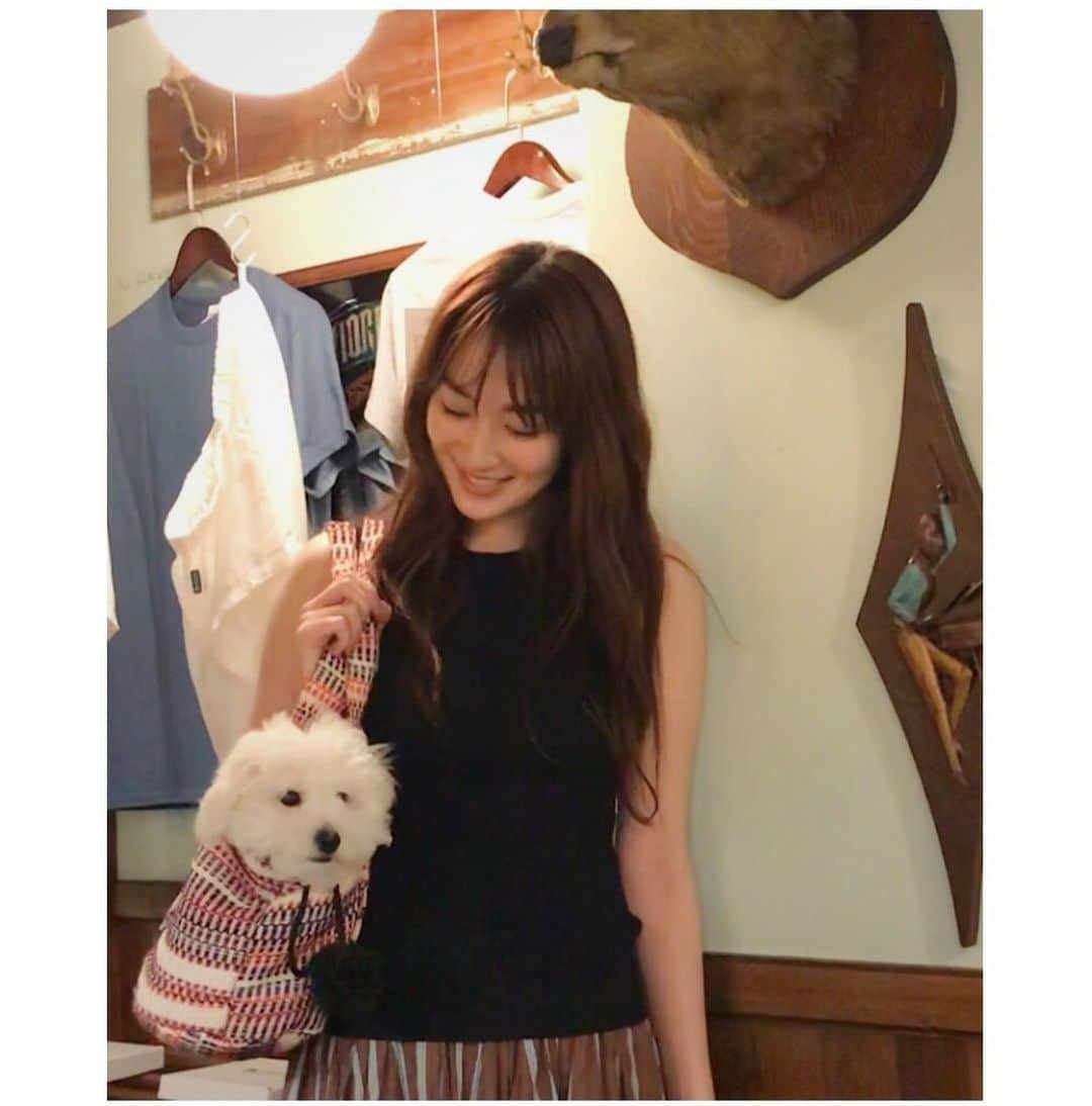 高梨臨さんのインスタグラム写真 - (高梨臨Instagram)「ボンボンコピーヌのわんちゃんバッグを購入したので、さっそくお出かけ( ◠‿◠ )  おうちに来てから2倍以上の大きさになりました( ◠‿◠ )  #bonboncopine @bichon_pan」6月29日 14時37分 - rintakanashi_official
