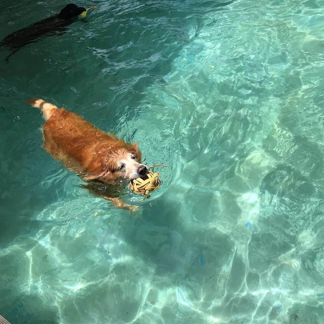 Hoykong&Plamuekのインスタグラム：「Swimming day #hkpm」