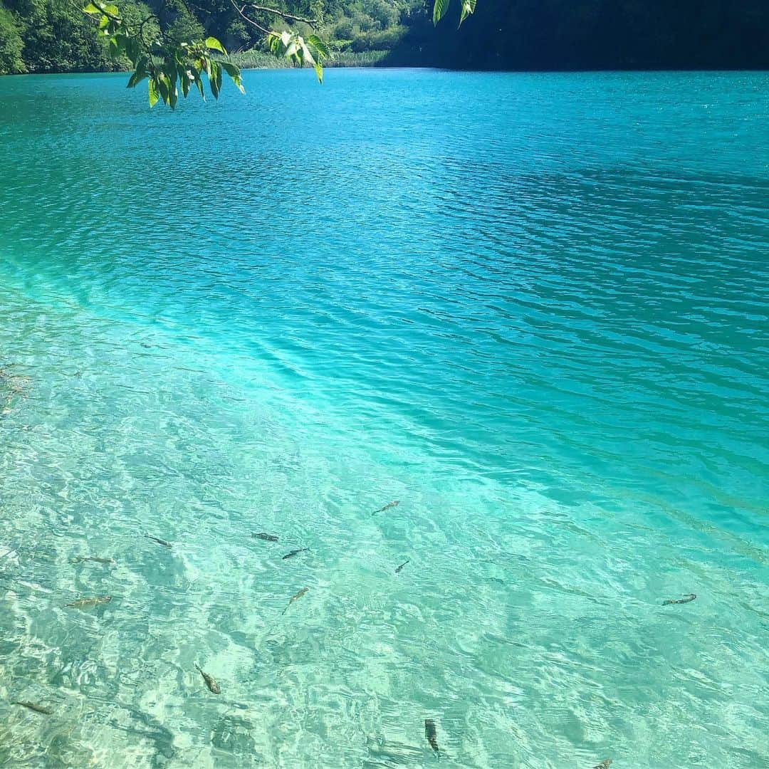 桐島かれんさんのインスタグラム写真 - (桐島かれんInstagram)「澄み切ったエメラルドグリーンの湖と滝の白い水しぶきが美しい、プリトヴィッツェ湖畔。 #プリトヴィッツェ湖群国立公園  #クロアチア」6月29日 16時31分 - houseoflotuskaren