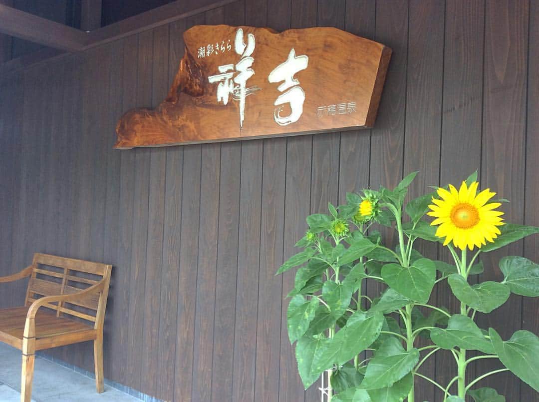 祥吉のグルメインスタ