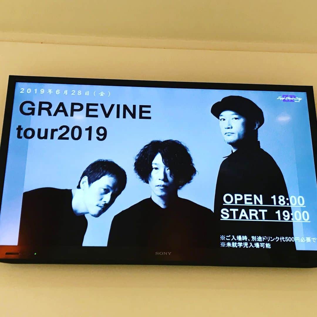 森野光晴のインスタグラム：「14歳の時に聴いた音楽で、人間の音楽の好みは形成されるってNYTimesの記事が前に話題になっていたけど、GRAPEVINEは自分にとってまさにそれ。  だけど若かりし頃の青春の思い出に収まらず、現役で音楽性を更新し続けているからこそずっと追いかけたくなるんだろうなぁ。  音楽業界に片足を突っ込んでしまった今の自分の立場からも、しっかりZeppを売り切っていたりと尊敬できるところも沢山有るし。  今回のツアーは初日とファイナルに行けました。 最高でしたね。 #GRAPEVINE」
