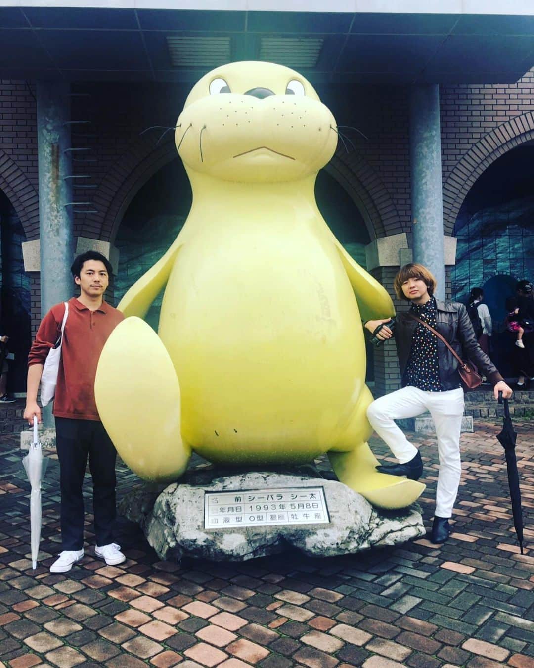 のインスタグラム：「訳あって、友人らと八景島へ。﻿ ﻿ せっかくなので、シーパラダイスも。﻿ ﻿ 乗り物、めっちゃ楽しかった。﻿ マンボウ、めっちゃ癒された。﻿ カワウソ、めっちゃ握手したかった。﻿ ﻿ オススメです。﻿ ﻿ #八景島シーパラダイス ﻿ #アクアライド﻿ #カワウソ」