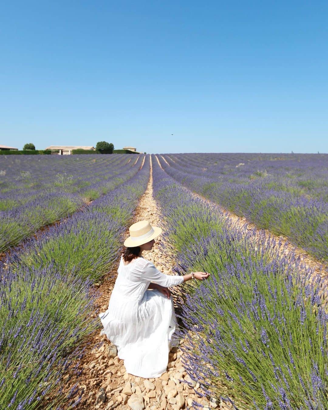 樋口智恵子さんのインスタグラム写真 - (樋口智恵子Instagram)「Bonjour Provence🌿! Beautiful lavender field in Valensole🌿💜🌿 . . . . プロヴァンスに来ています🌿ラベンダー畑は今がベストシーズン🌿💜🌿 . . . . #valensole #lavender #provence #vacances #プロヴァンス #ラベンダー畑 #lavenderfields #南仏 #旅好き女子 #カメラ女子」6月29日 17時50分 - chieko_higuchi