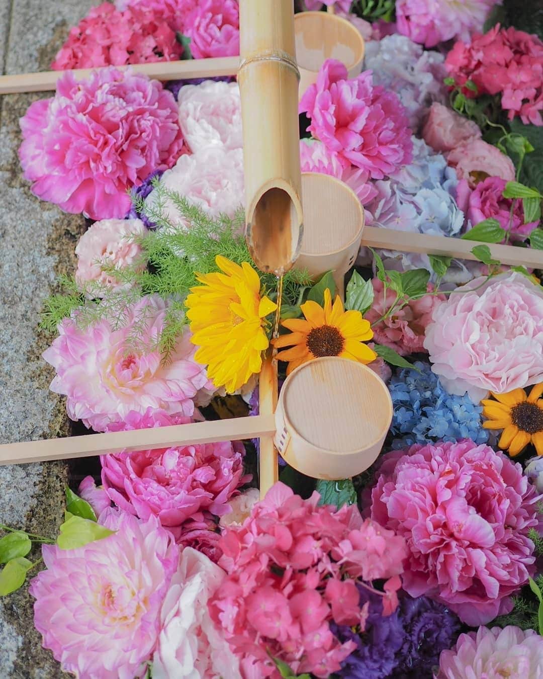 楽天トラベル のグルメインスタ