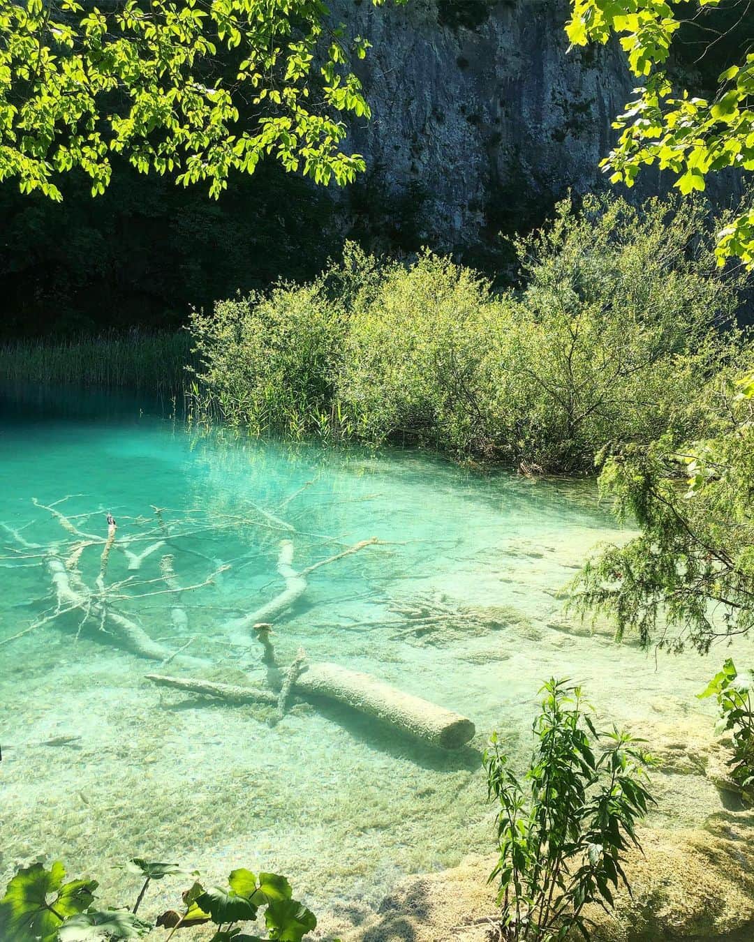 桐島かれんさんのインスタグラム写真 - (桐島かれんInstagram)「100以上もの滝が幻想的な景観をつくりだしているプリトヴィッツェ湖畔国立公園。その美しさは、私の携帯のカメラではとらえきれません。 #プリトヴィッツェ湖群国立公園  #クロアチア #croatia」6月29日 18時31分 - houseoflotuskaren