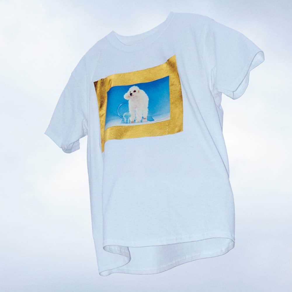 ginza magazineさんのインスタグラム写真 - (ginza magazineInstagram)「PHOTO PRINT T shirt🤳⠀⠀⠀ 自慢の写真を胸に掲げて。⠀ ⠀⠀⠀ 金の額縁に犬の写真が収まったこちらは、アーティストの平野正子が受注生産で作るTシャツ。⠀ @cokepotato⠀ ⠀ 現在発売中のGINZA7月号では、今年らしくアップデートした10種類100枚のTシャツを集めました🤘⠀⠀⠀⠀⠀ 必ず欲しい♡が見つかる 2019年夏の決定版⠀⠀⠀⠀⠀ どんなに暑い夏だって、お気に入りさえあれば乗り切れる、はず？⠀⠀⠀⠀⠀ ⠀⠀⠀ ⠀⠀⠀⠀⠀ ぜひプロフィールリンクから、チェックしてみてね💯⠀⠀⠀⠀⠀⠀ @ginzamagazine⠀⠀⠀⠀⠀⠀⠀ ⠀⠀⠀⠀ ⠀⠀⠀⠀⠀⠀⠀ ⠀⠀⠀⠀⠀ #ginzamagazine #Tshirt #wardrobe #tokyo #Tシャツ #dog #masakohirano #平野正子」6月29日 18時51分 - ginzamagazine